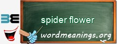 WordMeaning blackboard for spider flower